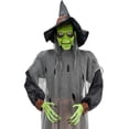 thumbnail image 3 of Decoración de Halloween Way to Celebrate Bruja de Pie 66 Pulgadas, 3 of 4