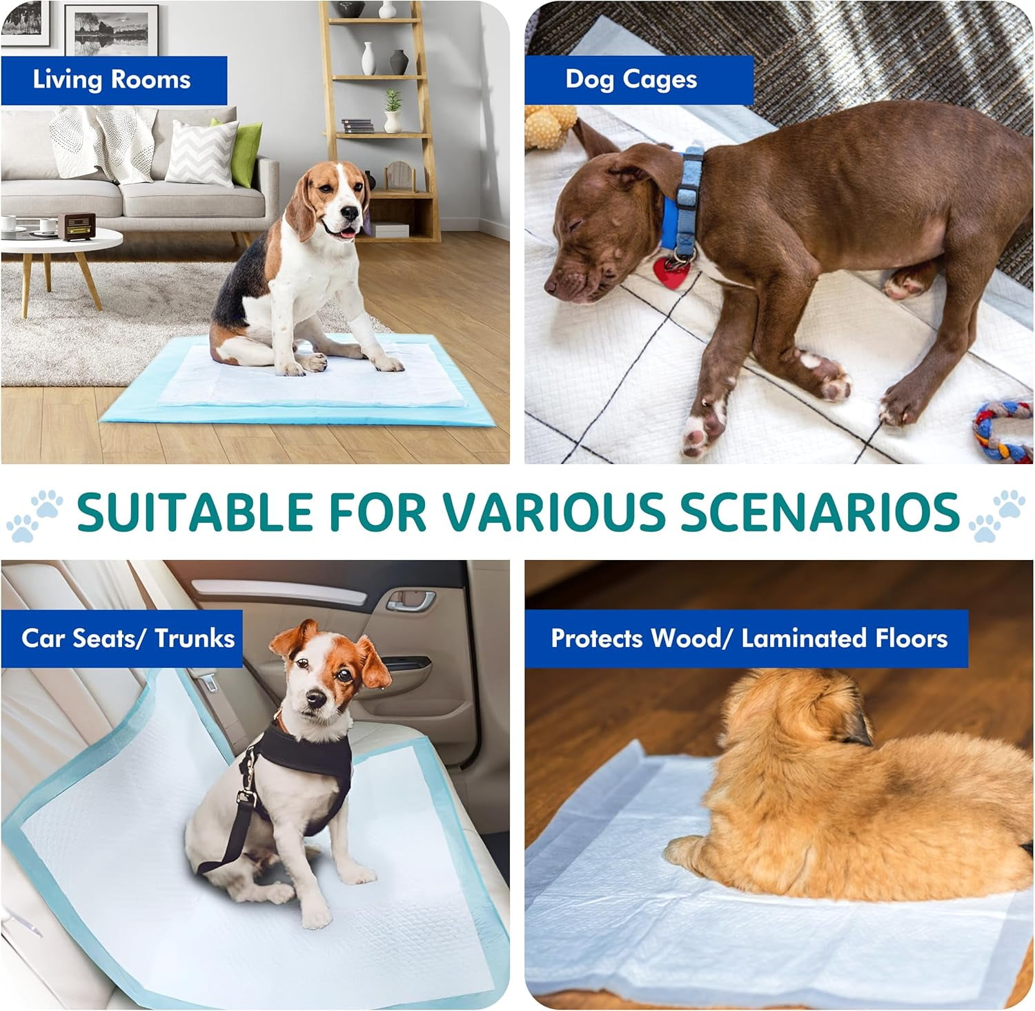 FPN Puppy Pads  Small 18"x13" - 100 Count Training Pads  – Leak-Proof, Fast-Drying, Odor Control, Disposable Dog Pads for Puppies and Pets