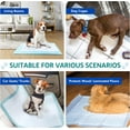 thumbnail image 4 of FPN Puppy Pads  Small 18"x13" - 100 Count Training Pads  – Leak-Proof, Fast-Drying, Odor Control, Disposable Dog Pads for Puppies and Pets, 4 of 11