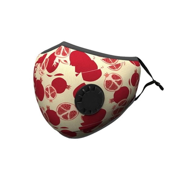 Reusable Face Mask with Breathing Air Valve and 2 Free Carbon Filters (Red Pomergranite)