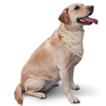 thumbnail image 2 of Bingfone Tortilla-Washable Dog Scarf Triangle Adjustable Puppy Bandana Bib Handkerchief For Medium Large Dog Cat, 2 of 9