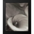 thumbnail image 2 of Blaustein, Alan 20x24 Black Modern Framed Museum Art Print Titled - Florison - 19, 2 of 5