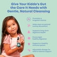 thumbnail image 2 of Suplemento JoySpring Liquid Cleanse para la salud digestiva, 2 of 8