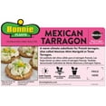 thumbnail image 3 of Bonnie Plants Green Mexican Tarragon Live Plants in Grower Pot, 3 of 8