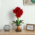 thumbnail image 6 of Nearly Natural 24" Red Amaryllis Artificial Flower Arrangement with Vase, 6 of 6