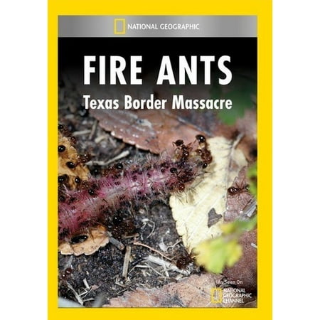 National Geographic: Fire Ants - Texas Border Massacre