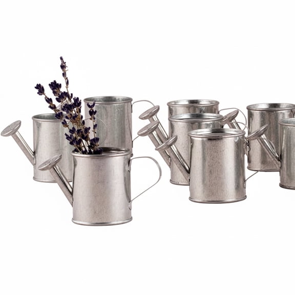 Giftsforyounow Garden Watering Cans (12 Pack)