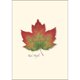 thumbnail image 3 of Juego de tarjetas de notas Earth Sky + Water 9x13 cm (8 unidades), 3 of 4
