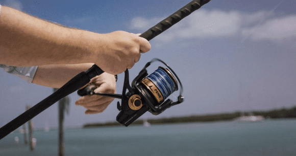 Penn Spinfisher VI Spinning Fishing Reel with 6 Bearings, Size 5500, Black/Gold