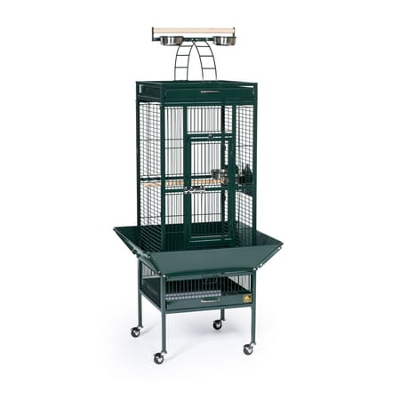 Prevue Pet Products Select Wrought Iron Cockatiel Birdcage in Jade Green