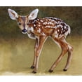 thumbnail image 2 of Vest, Christopher 30x26 White Modern Wood Framed Museum Art Print Titled - Baby Deer Standing, 2 of 4