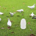 thumbnail image 4 of Raindrops Water Bird Feeder Automatic Water Level Control White PP 1Set, 4 of 8