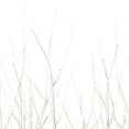 thumbnail image 2 of 30 Pouces Bouleau Blanc Grove LED88WW 5/Ensemble, 2 of 3