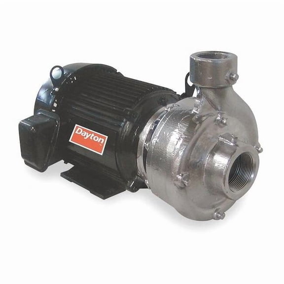 Dayton Stainless Steel 10 HP Centrifugal Pump 208-230/460V 12A080
