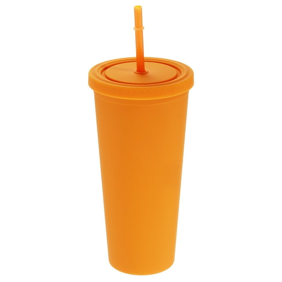 Acrylic Tumbler with Lid and Straw, 24 Oz Insulated Double Wall Cups, Matte Travel Tumblers for Parties (Rainbow)