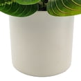 thumbnail image 6 of Mainstays Indoor Artificial Prayer Plant, 10 in, Polyester in White Plastic Pot, Green, 1 Piece, 6 of 9