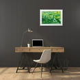 thumbnail image 3 of Paulson, Don 32x23 White Modern Wood Framed Museum Art Print Titled - AK, Glacier Bay Abstract of water in Dundas Bay, 3 of 4