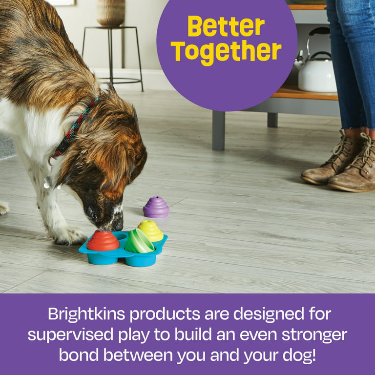 Best Dog Puzzle Toys: Keep your pup engaged and happy