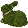 thumbnail image 5 of Northlight 11" Moss Sitting Bunny Rabbit Spring Easter Figure - Green/Tan, 5 of 7