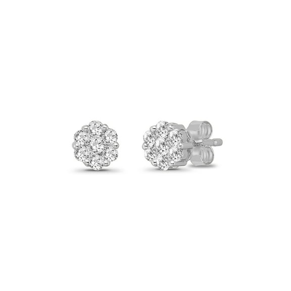 ARAIYA FINE JEWELRY 10K White Gold Diamond Cluster Stud Earrings for Female