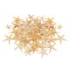 thumbnail image 1 of Conchas De Estrella De Mar Naturales, Exhibición De Boda, Decoración Artesanal Para Acuario, 1-5cm, 100 Uds. Sunnimix artesanías conchas marinas, 1 of 8