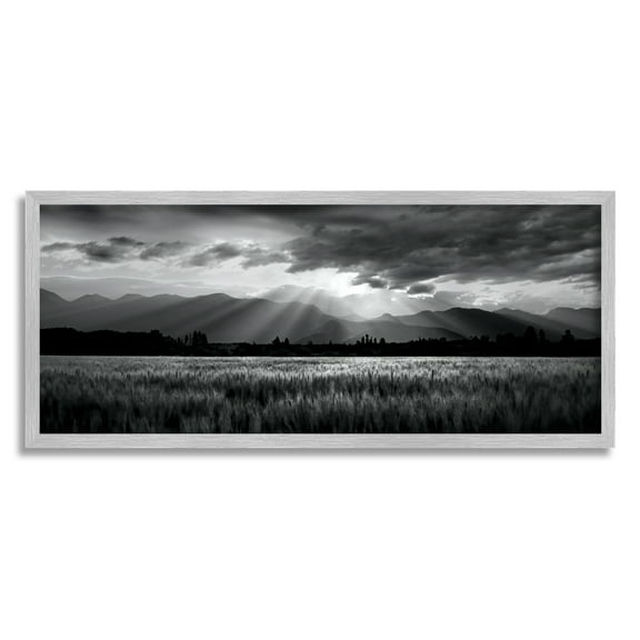 Stupell Industries Sun Rays Field Landscape Landscape Photography Gray Framed Art Print Wall Art, 30 x 13