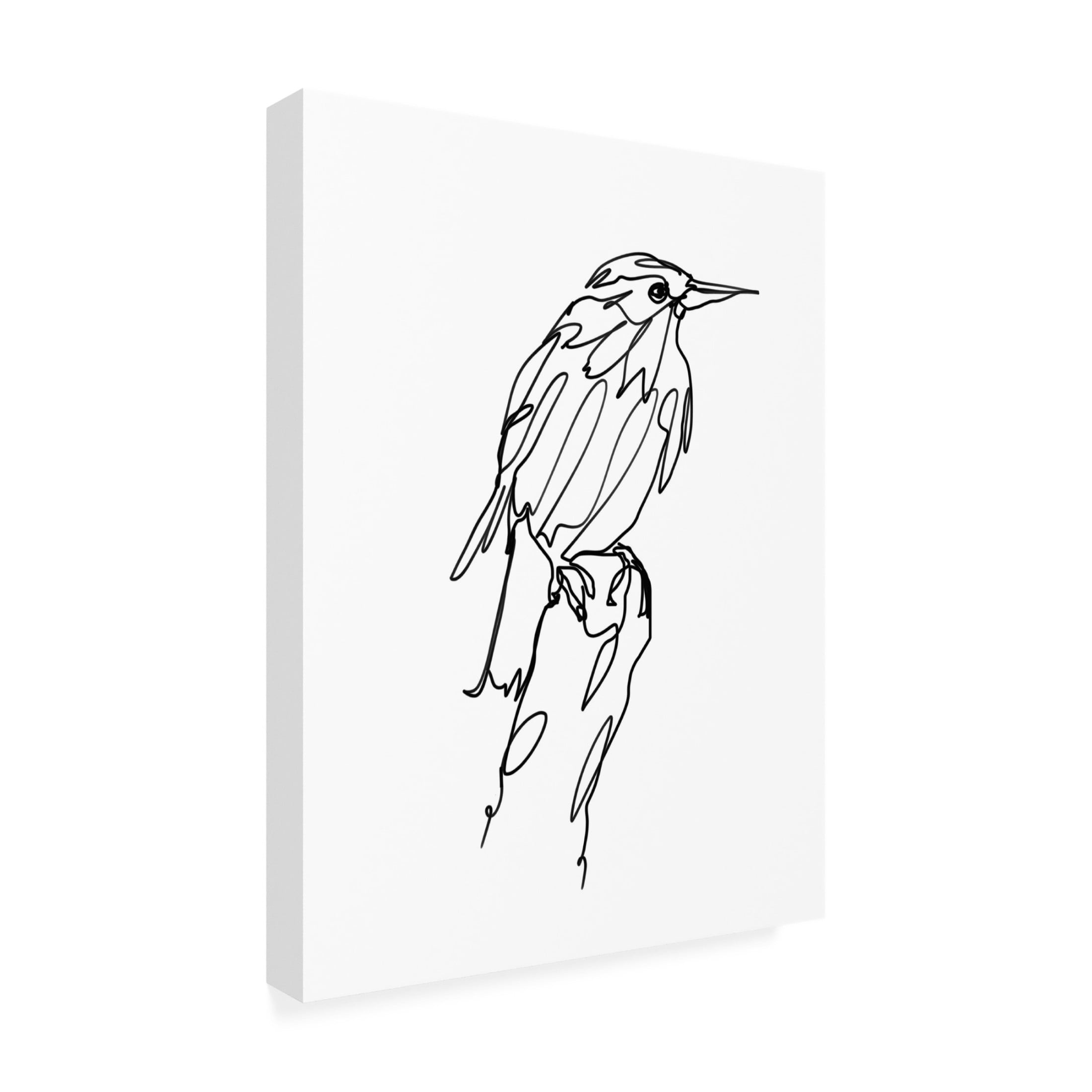 Trademark Fine Art Hanna Lee Tidd Walking Murmuration Canvas Wall Art