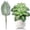 Z-3-D, variant on Artificial Ferns, Faux Ferns, Fake Ferns, Grave Decorations for Cemetery, Fern Stems, Silk Greenery for Floral Arrangements, Artificial Fern Leaves Stem Faux Greenery Plant 1Pcs