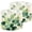 Color 1, variant on Lampshades 2 Pack Moody Flowers Vintage Dark Green Floral Botanical Landscape 13"x13"x10" Light Shade for Table Lamps Floor Lamps Drum Lamp Shades Lampshade Replacement Easy Assembly