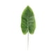 thumbnail image 1 of Kearding 20 bolsas de hermosos arreglos florales verdes con hojas de sandía simuladas, Canna Indica simulada fácil y conveniente Decoración Canna indica grande, 1 of 6