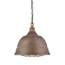 Golden Lighting Bartlett 2-light Pendant in Copper Patina