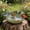 Green, variant on Ceramic Bird Bath for Outdoors, 10.1" Glazed Ceramic Bird Baths Bowls and Feeders for Outside, UV/Frost-Resistant Finish Ground Garden Table Top Bird Baths Decor for Patio Yard  Green