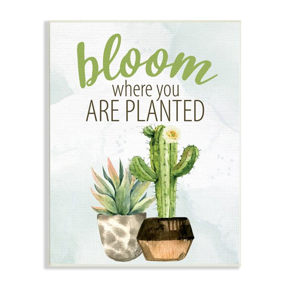 Stupell Industries Bloom Where You Are Planted Cactus Succulent Graphic Art Unframed Art Print Wall Art, Design by Kim Allen