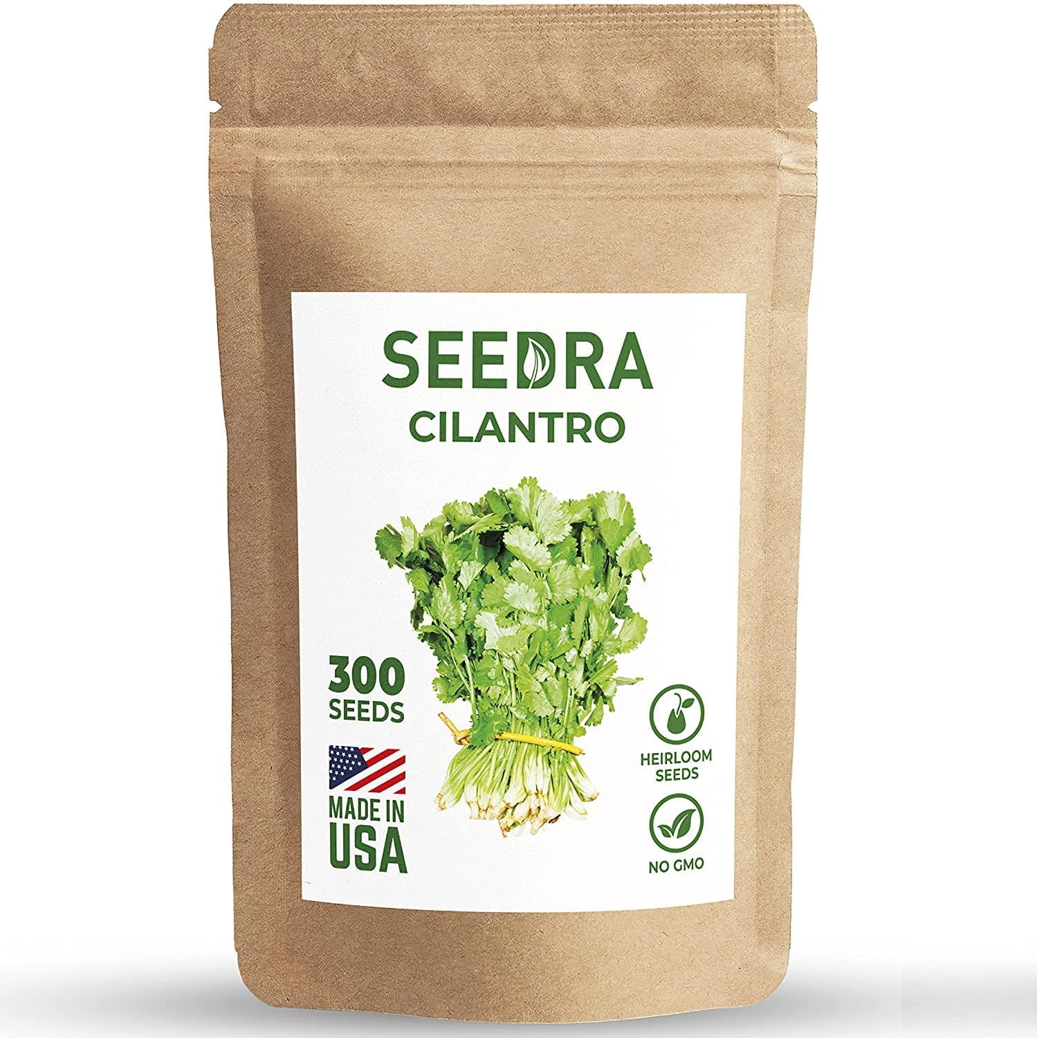 SEEDRA.US 300+ Cilantro Seeds for Indoor, Outdoor and Hydroponic Planting, Non GMO Heirloom Seeds for Home Garden - 1 Pack