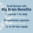 thumbnail image 5 of Life Extension Blueberry Extract Capsules - Whole Fruit Wild Blueberry Extract Supplement Pills- For Brain Health Support - Non-GMO, Gluten-Free ,Vegetarian - 60 Capsules, 5 of 10