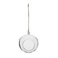 thumbnail image 1 of Syndicate Home & Garden 3752-06-09 Hanging Terrarium, Round - 5.25 x 5.5 in., 1 of 1