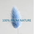 thumbnail image 4 of 120 PCS Blue Dried Pampas Grass Decor, 17-inch Pompas Floral, Dry Flowers for Decoration, Pampas Grass in Bulk Tall, Blue Bunny Tails Dried Flowers for Boho Wedding Decor, 4 of 7