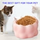 thumbnail image 5 of Cuencos de cerámica para gatos Cuencos elevados para comida para gatos Cuenco elevado e inclinado antivómitos para gatos que protege la columna vertebral de la mascota, 5 of 5