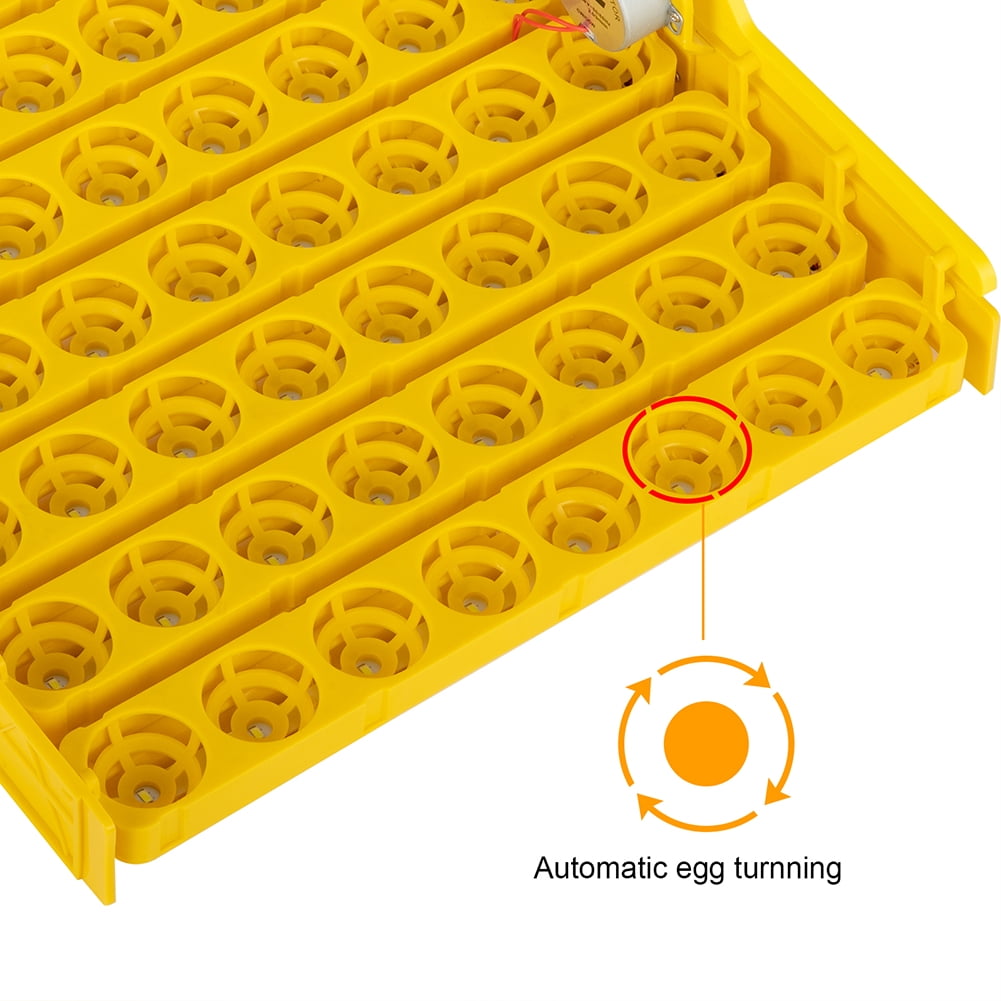 Veryke Digital Clear Egg Incubator 56 Eggs Poultry Hatcher for Chickens Ducks Goose Birds Veryke Digital Clear Egg Incubator 56 Eggs Poultry Hatcher for Chickens Ducks Goose Birds