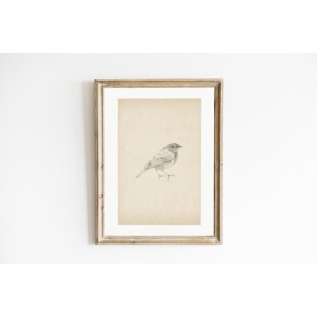 Vintage Bird Sketch Art Vintage Style Pencil Drawing Bird Wall Art Cottage Nursery Ideas Neutral Gallery