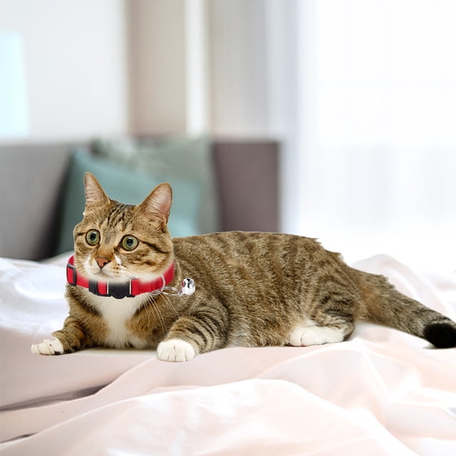 Off The Shelf Cat Breakaway Collar with Reflective Stripes for Indoor Outdoor