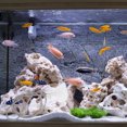 thumbnail image 4 of Flexible Tube Cleaning Brush Drain Tube Cleaner Fish Tank Inlet Outlet Pipe Brush, 4 of 8