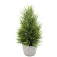 thumbnail image 5 of Tabletop Mini Christmas Tree 12 Inches Artificial Mini Xmas Miniature Pine Faux Christmas Tree Faux Everygreen Plants for Xmas Holiday Decorations Indoor Home Kitchen Dining Table, 5 of 8