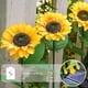 thumbnail image 4 of Moyic Girasoles Luz solar IP55 Lámpara de decoración de vacaciones a prueba de agua Patio Pasillo Paisaje Herramienta de iluminación decorativa Iluminación y accesorios Moyic HA072746-00, 4 of 6