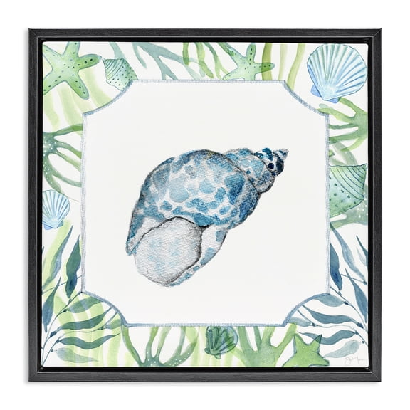 Stupell Industries Contemporary Spotted Cowrie with Seaweed Black Floating Frame Canvas Art, 18 x 18, by Janet Tava