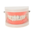 thumbnail image 2 of Unique Bargains 1 Set Fake Teeth Grills Fashion Zircon Single Strip for Hip Hop Gift Black, 2 of 6