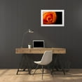 thumbnail image 3 of Brosius, Volker 14x11 White Modern Wood Framed Museum Art Print Titled - Rose gelb I, 3 of 4