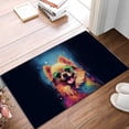 thumbnail image 2 of Hippie Pomeranian Portrait oil painting Watercolor Tie-dye Vintage Doormat Pom Dog Lover Gifts Indoor Outdoor Welcome Mat - 00015, 2 of 5