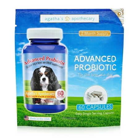 Advanced Hip And Joint Support - Glucosamine Chondroitin MSM For Dogs  Chewable Food Supplement With Vitamins C & E  Pain Relief Medicine Treats For Arthritis & Dysplasia  Beef Flavor