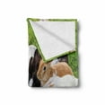 thumbnail image 2 of Bunny Soft Flannel Fleece Blanket, Real Life Image of a Group of Rabbits Eating Food in the Garden Feeding Animalistic, Cozy Plush for Indoor and Outdoor Use, 50" x 60", Multicolor, by Ambesonne, 2 of 6